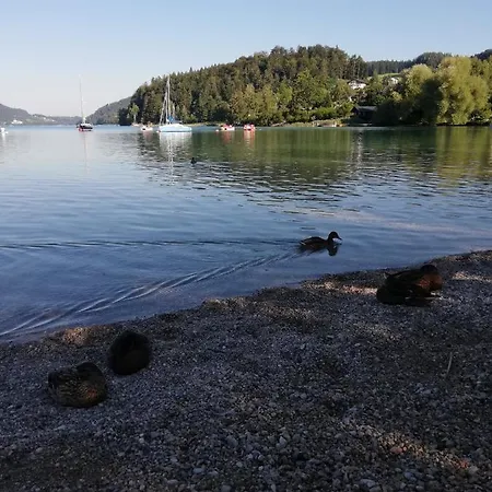 Apartment Feichtingerbauer Fuschl am See