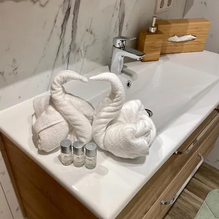 公寓 菲彻廷格包尔公寓 湖滨福煦